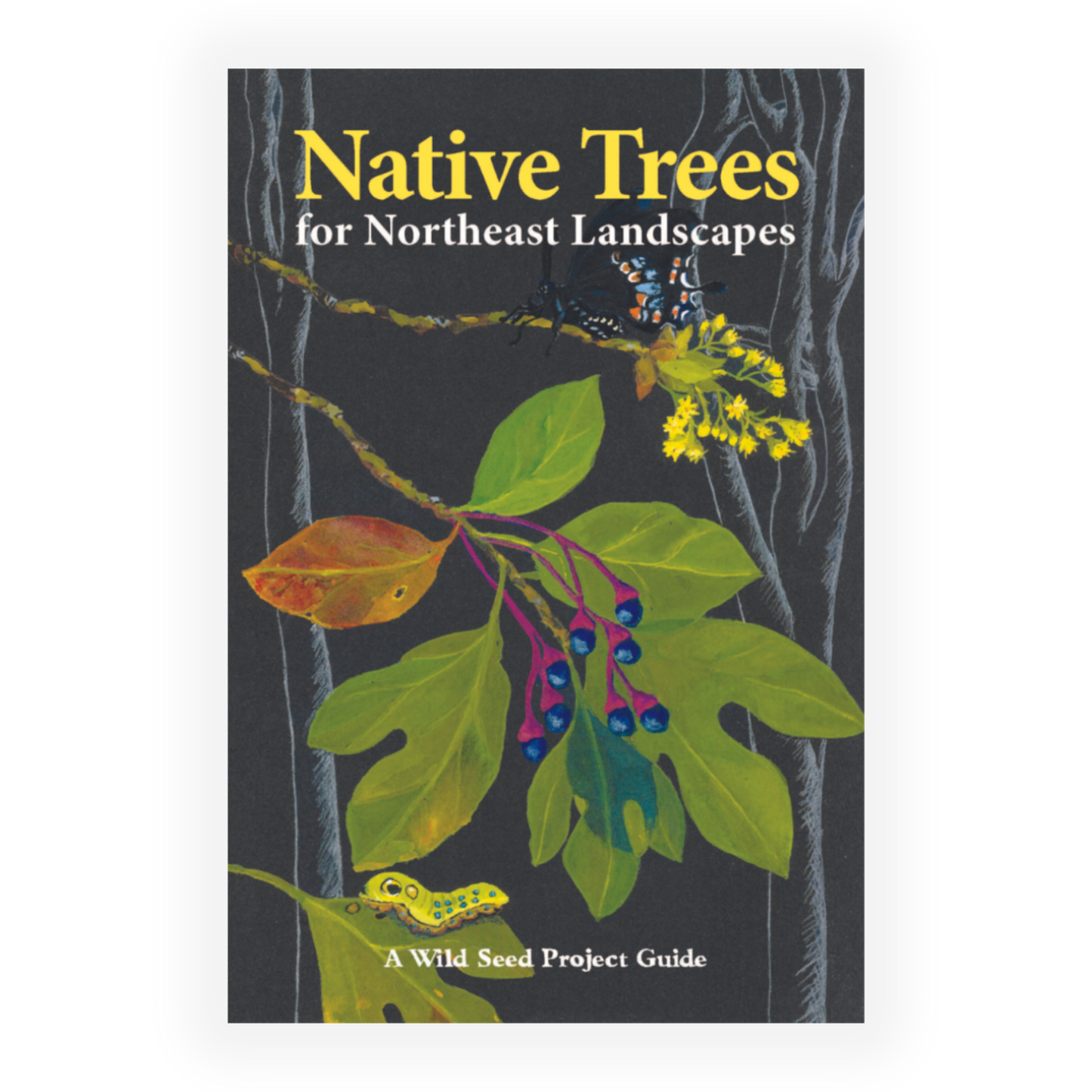 Native Trees for Northeast Landscapes: A Wild Seed Project Guide