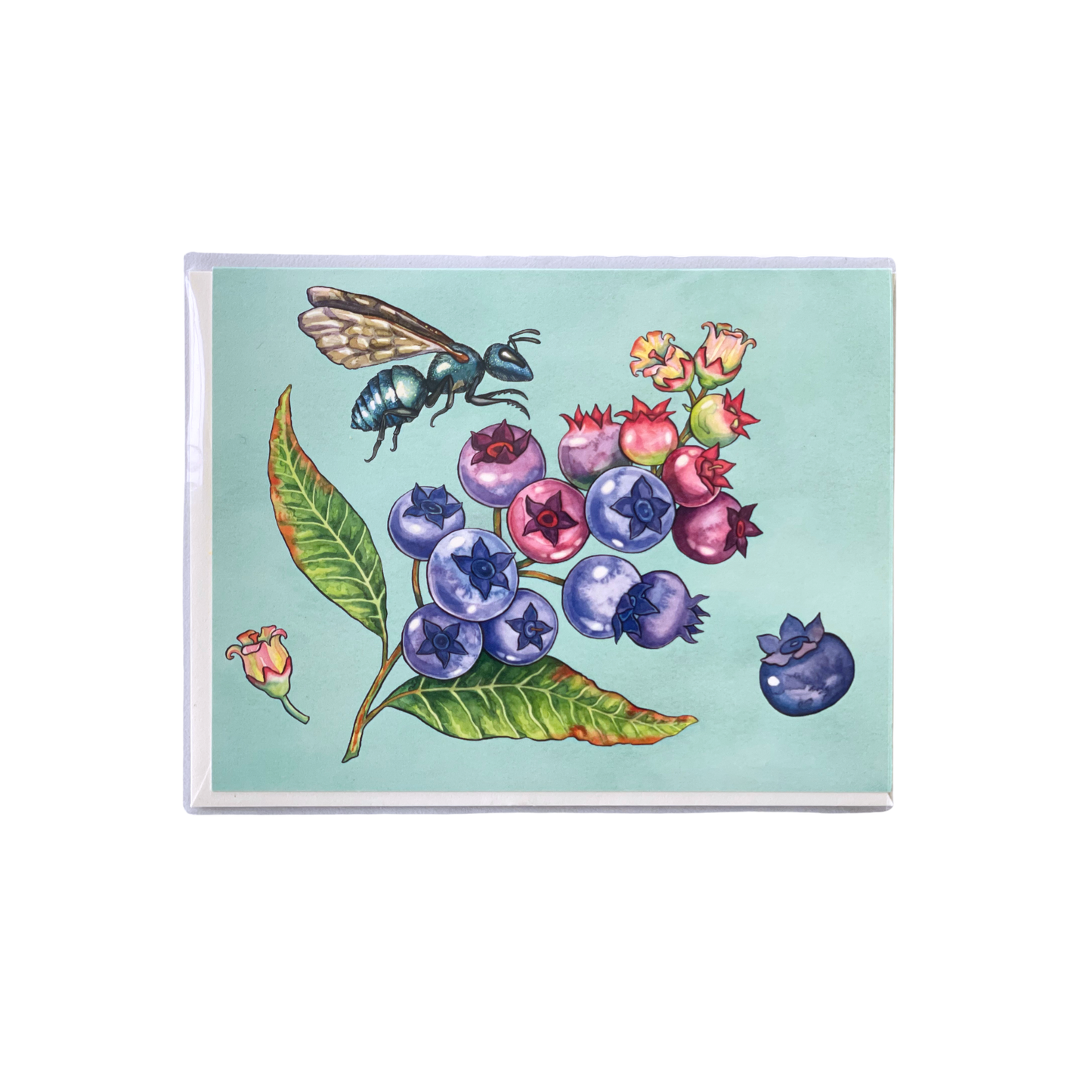 Blueberries and Bee Greeting Card