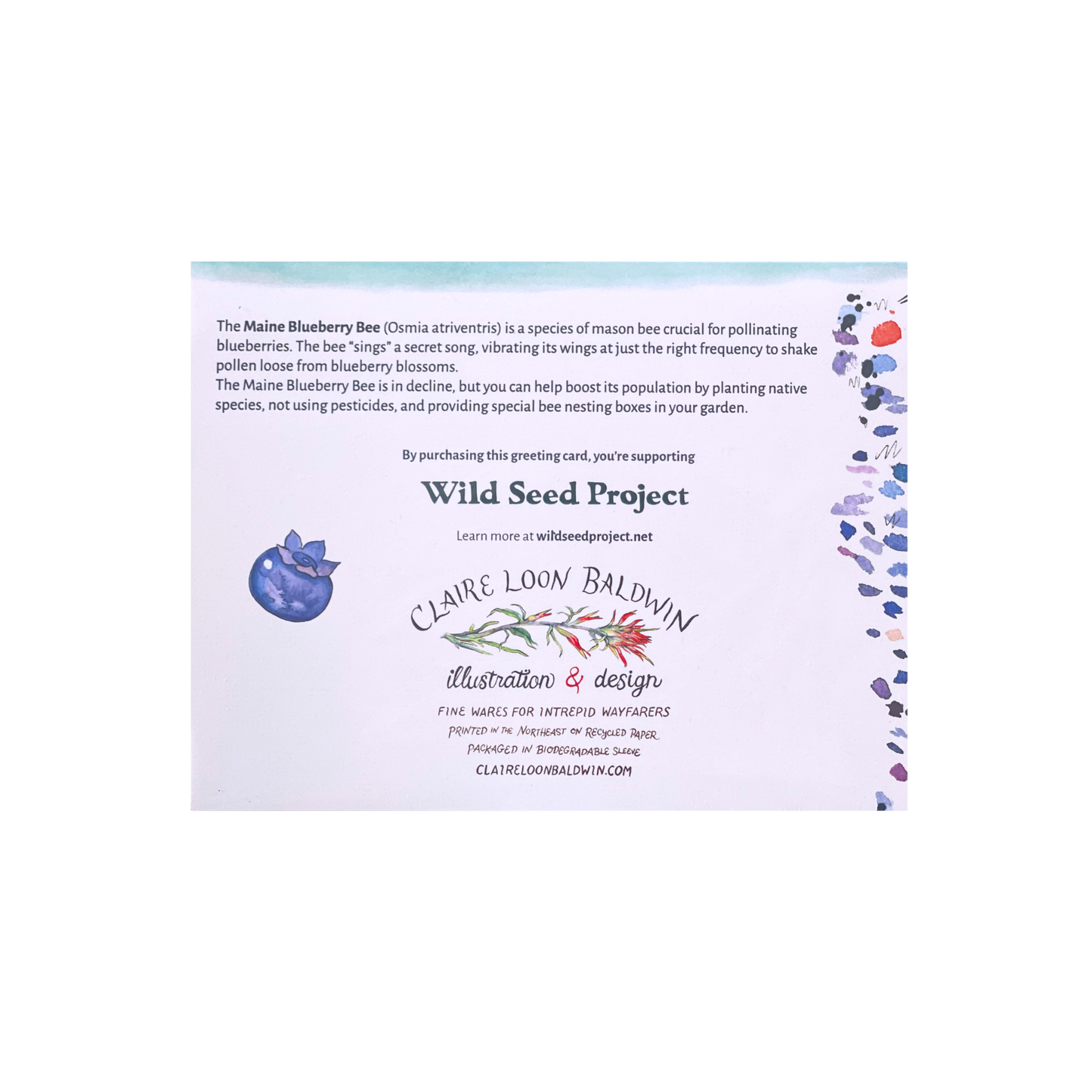 Blueberries and Bee Greeting Card