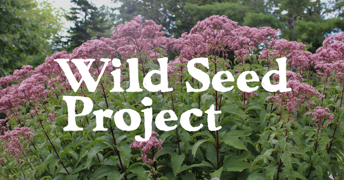 Germination Codes for Maine Native Seeds – Wild Seed Project