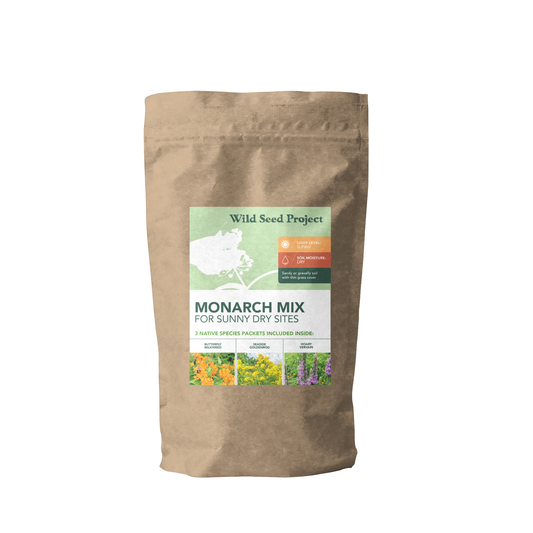 Monarch Mix for Sunny Dry Sites