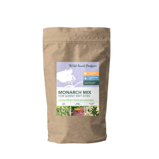 Monarch Mix for Sunny Wet Sites