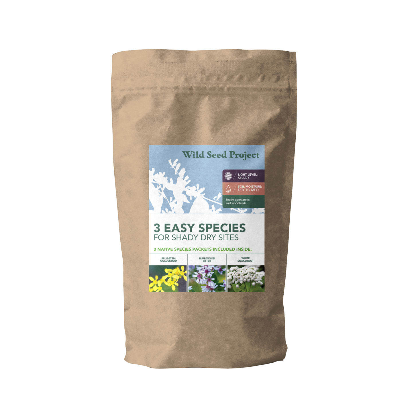 Three Easy Species for Shady Dry Sites