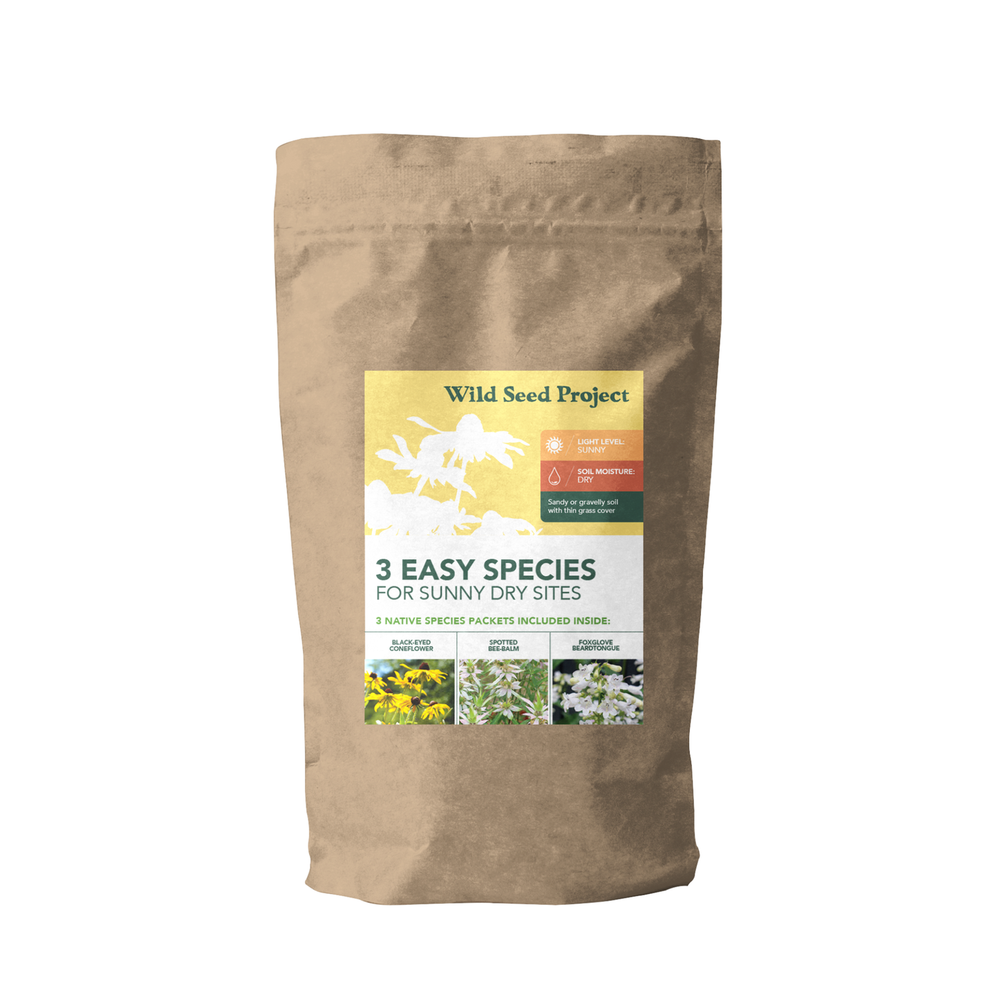 Three Easy Species for Sunny Dry Sites