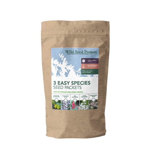 Three Easy Species for Shady Dry Sites