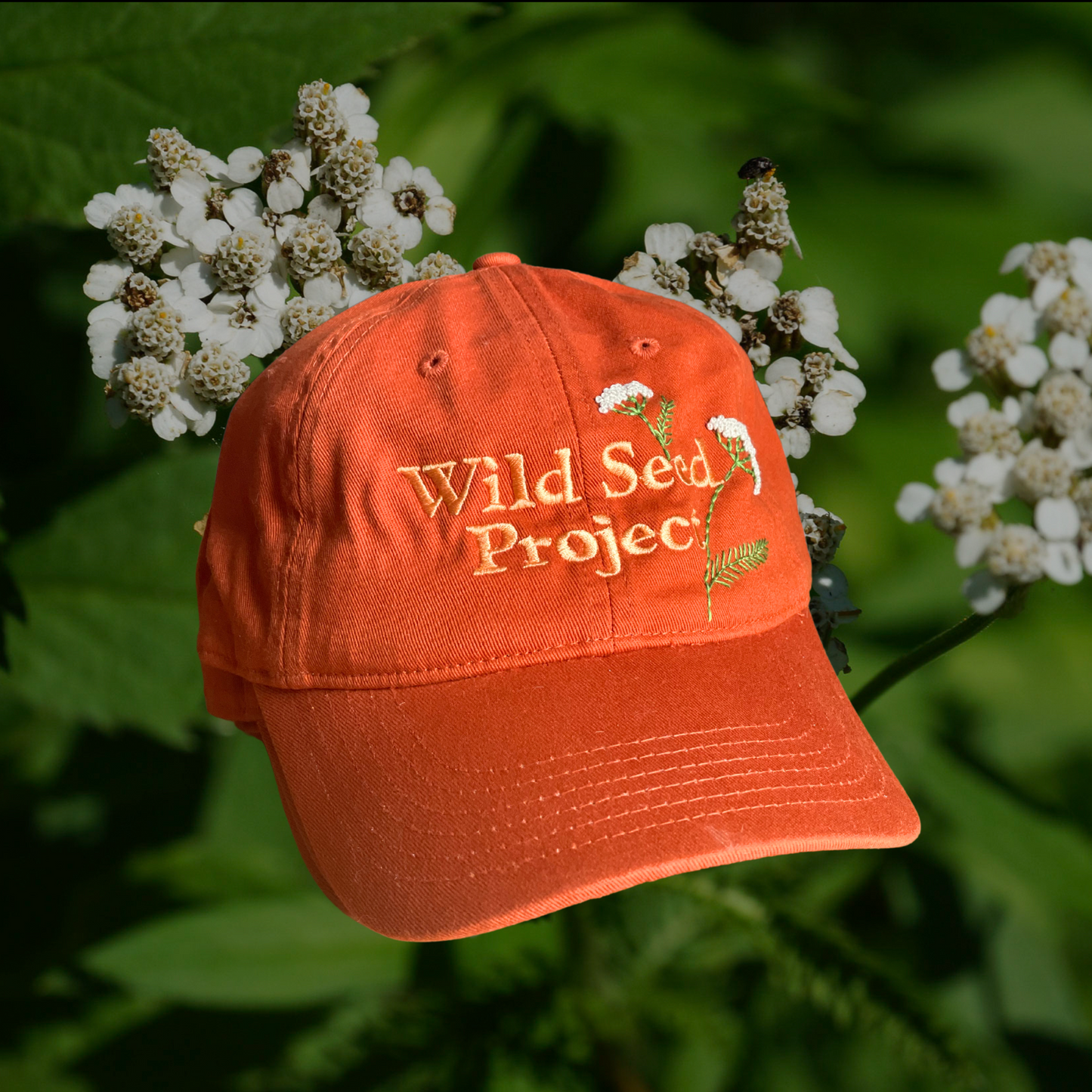 Wild Seed Project Embroidered Hats