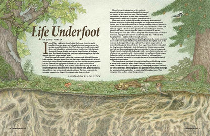 Wild Seed Magazine Volume 5: Life Underfoot by David Porter