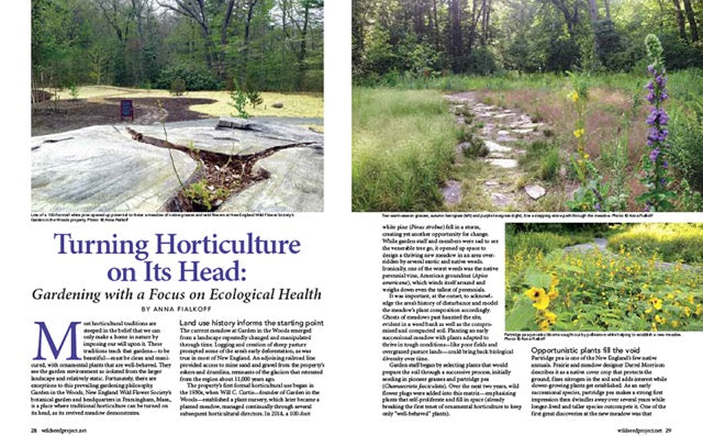 Wild Seed Magazine Volume 5: Turning Horticulture on Its Head