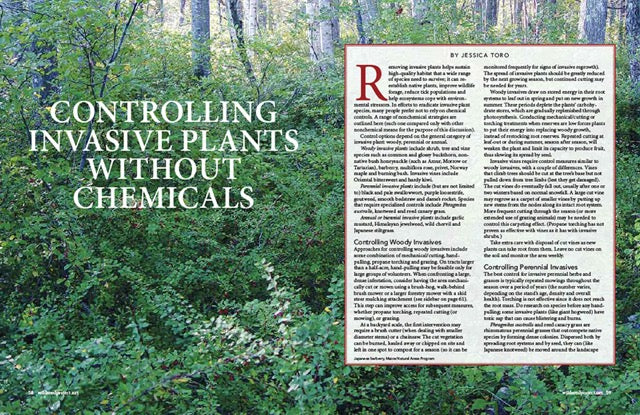 Wild Seed Magazine Volume 5: Controlling Invasive Plants Without Chemicals
