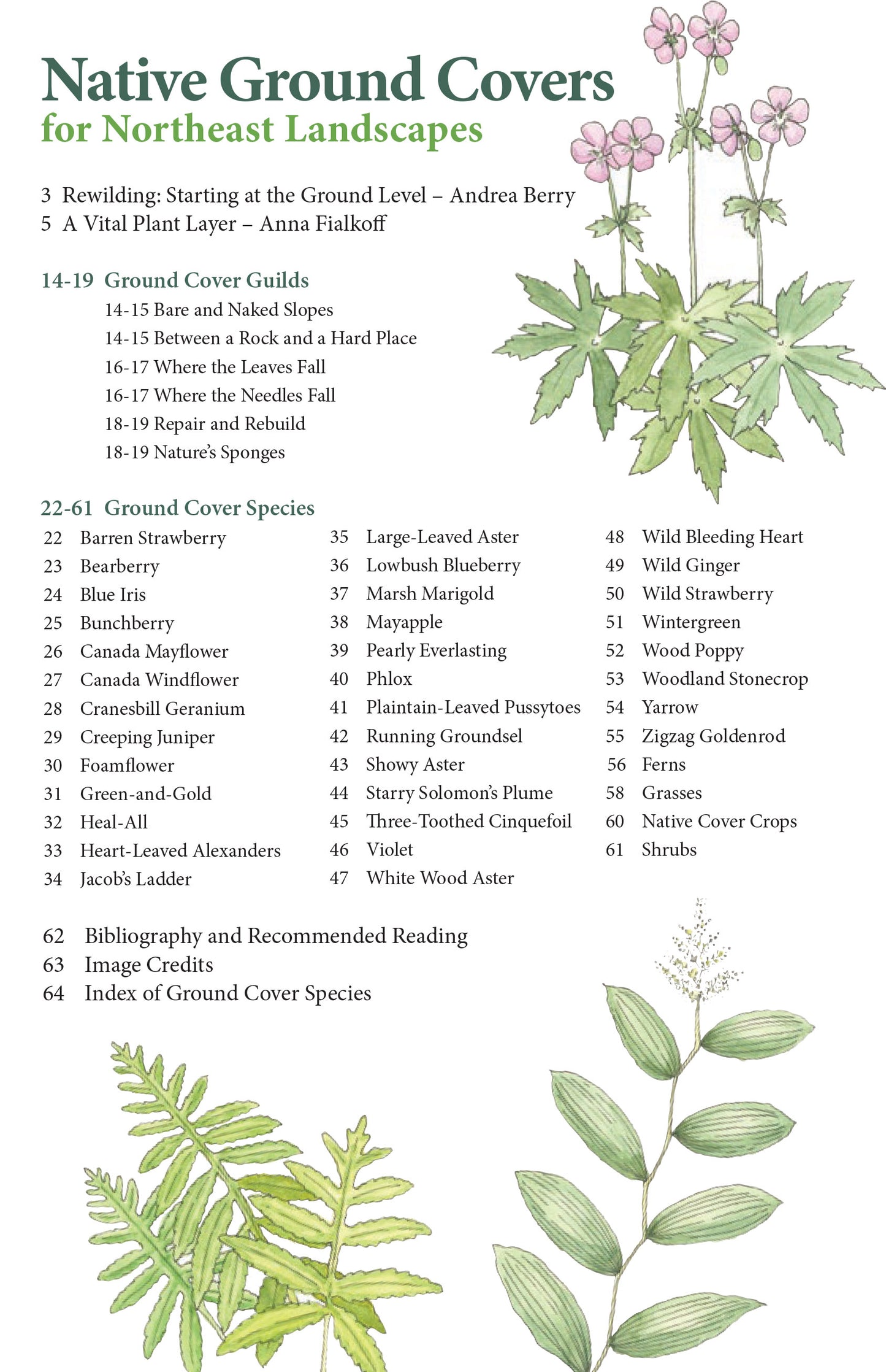 Table of contents for Native Ground Covers for Northeast Landscapes
