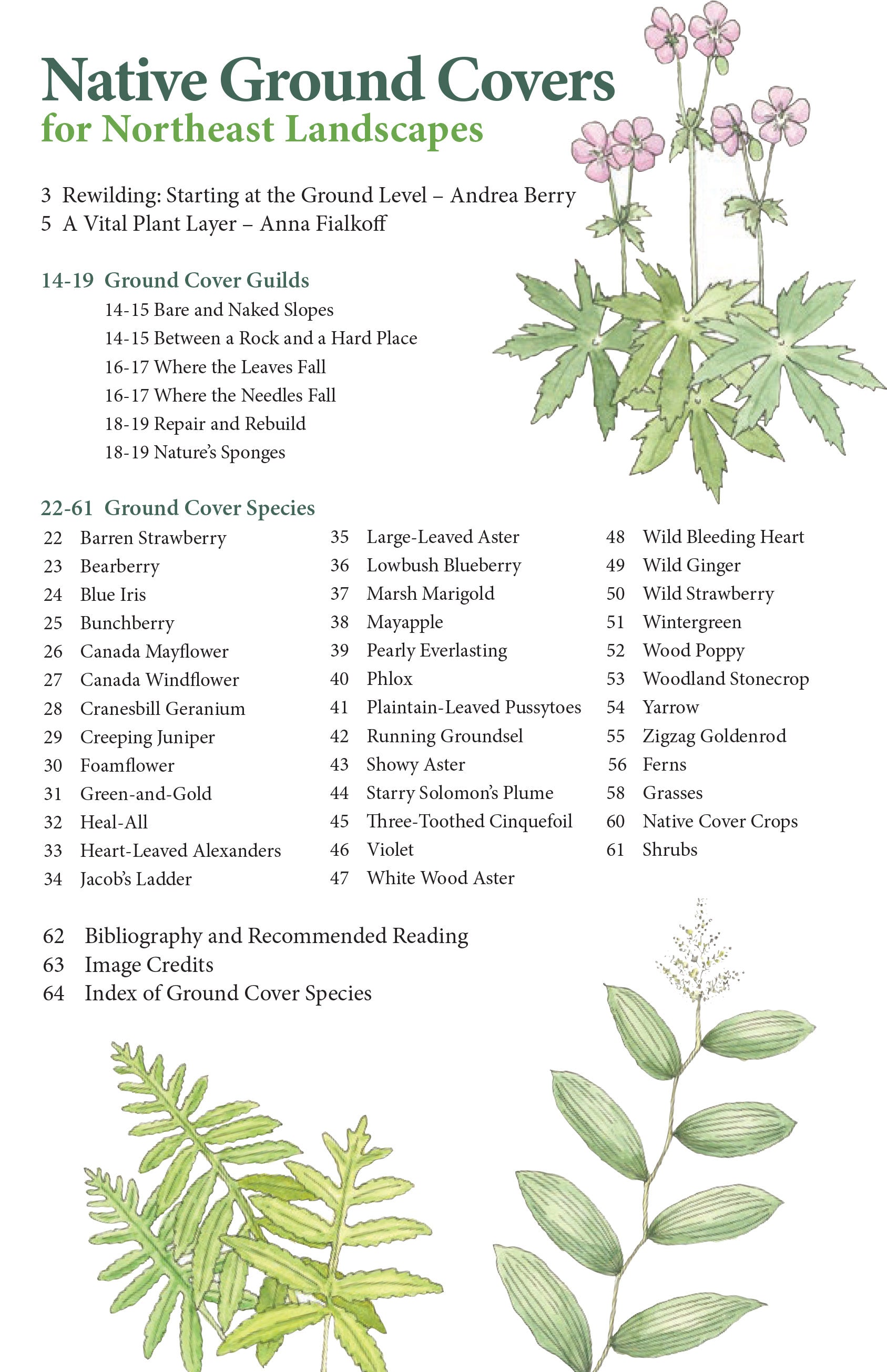 Table of contents for Native Ground Covers for Northeast Landscapes