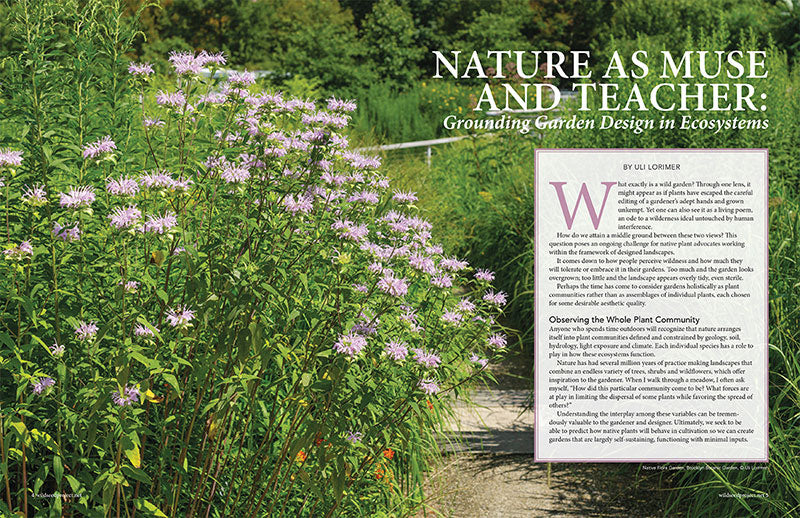 Wild Seed magazine Volume 6 2020: Nature as Muse and Teacher: Grounding Garden Design in Ecosystems