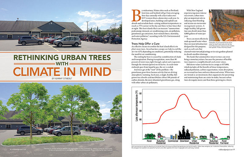Wild Seed magazine Volume 6 2020: Rethinking Urban Trees with Climate in Mind
