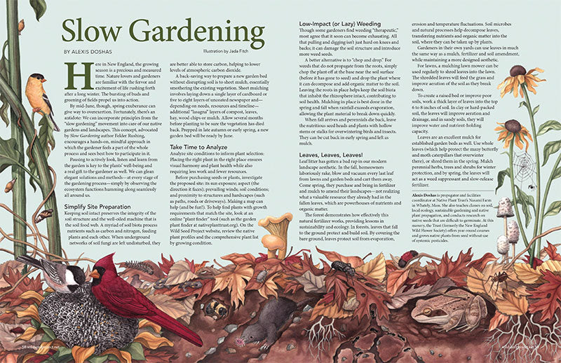 Wild Seed magazine Volume 6 2020: Slow Gardening