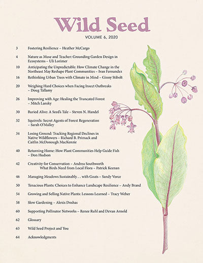 Wild Seed magazine Volume 6 2020 Table of Contents