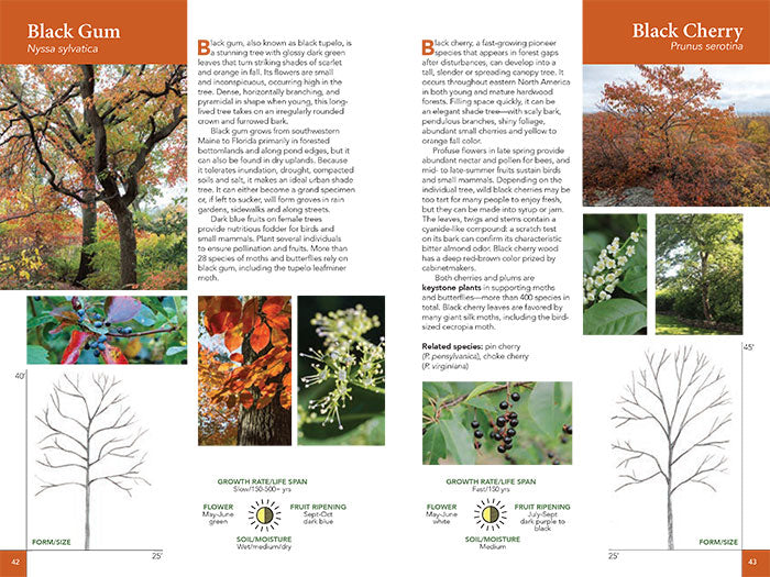 Native Trees for Northeast Landscapes: A Wild Seed Project Guide
